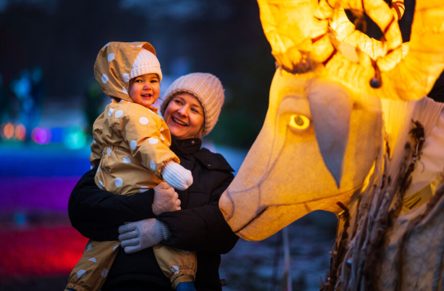 Yuletide 2024 at Tatton Park Gardens