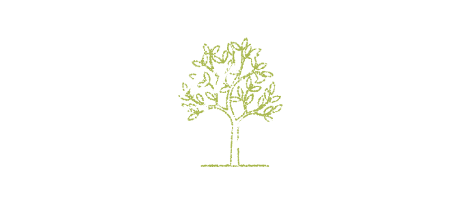 Your Forest - Soundmap